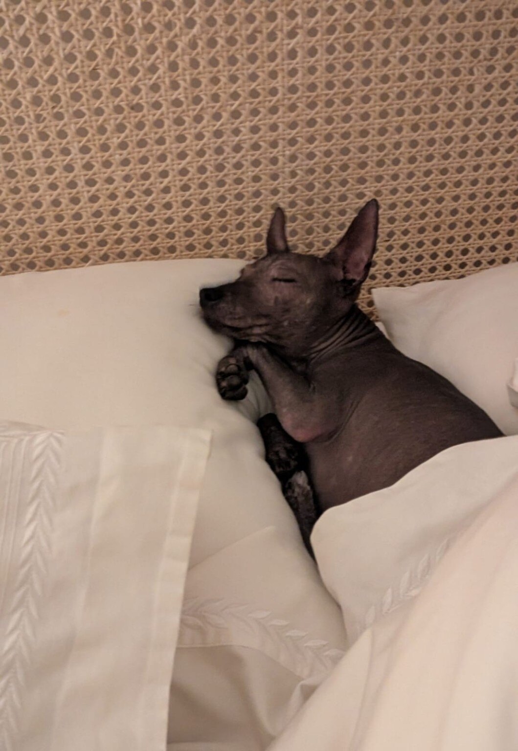 Teyolia Ramírez dormida y acurrucada en la cama
