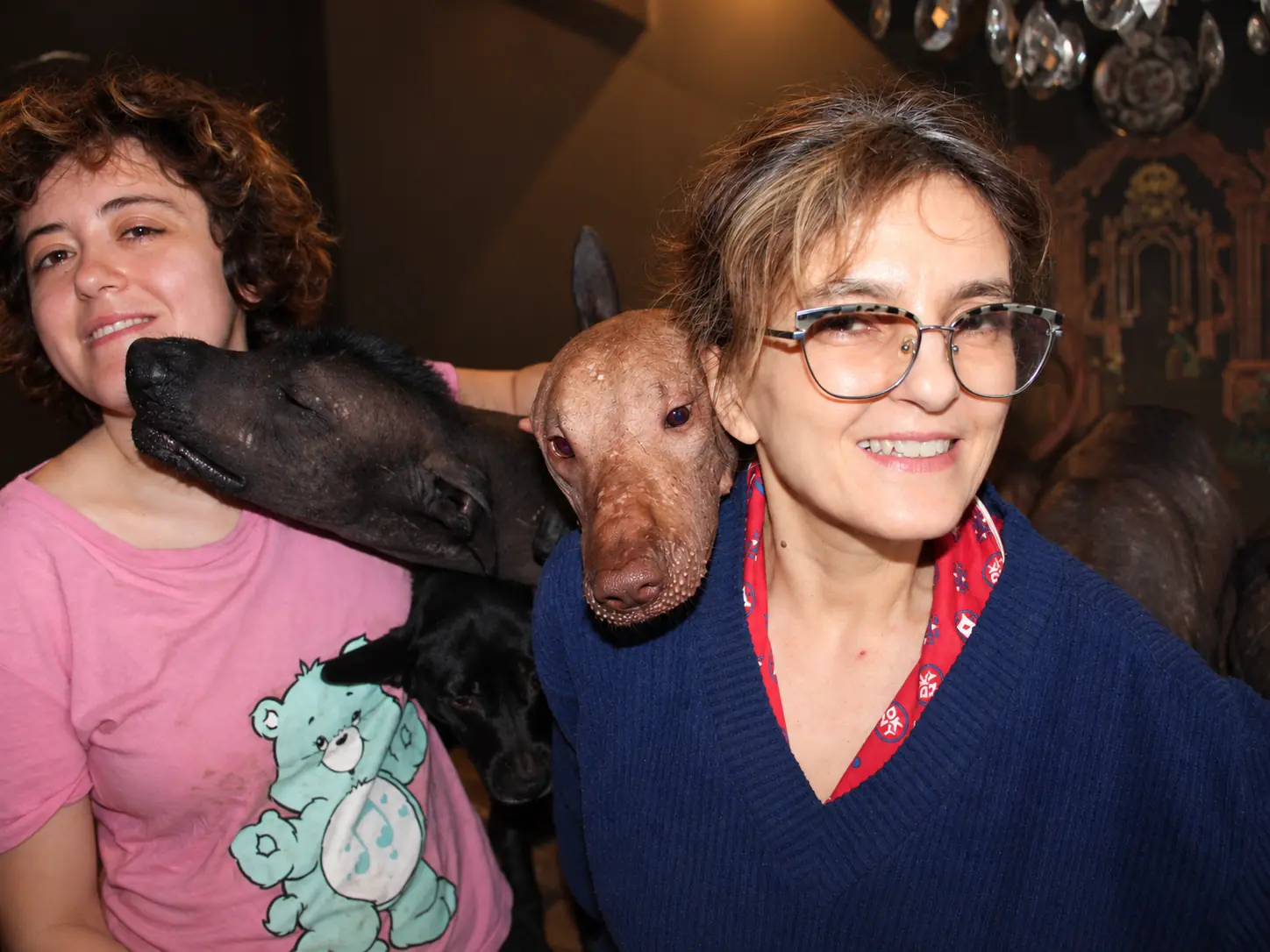 Marcela Ramirez smiles surrounded by Alexandra and several Xoloitzcuintli