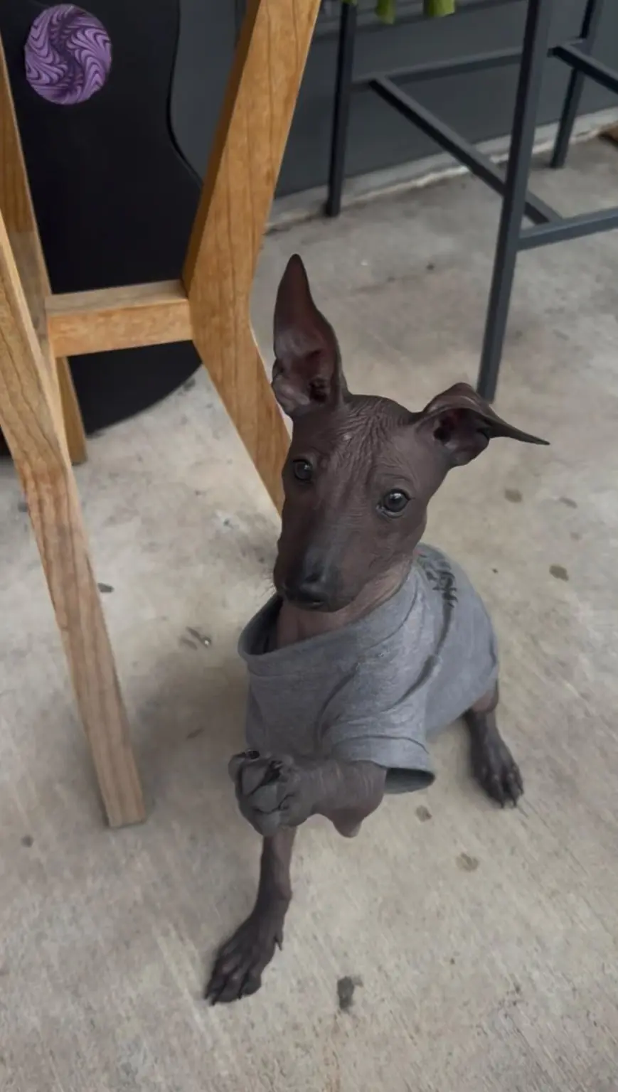 Onix Ramírez con una camiseta gris, sentado junto a una mesa