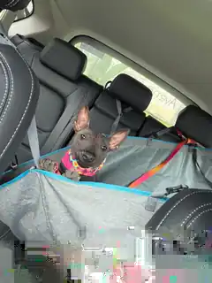 Sami Ramírez viajando cómoda y segura en el asiento trasero